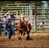 roping4543